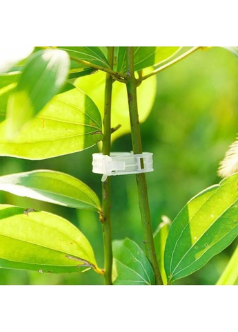 Кліпси-Фіксатори для Рослин 🔥 Внутрішній діаметр 3 см 🔥 Упаковка з 50 шт ❤️ Comshop (364316044)