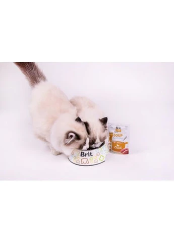 Корм вологий "Суп для котів Care Soup with Duck з качкою", 75 г Brit (366238285)