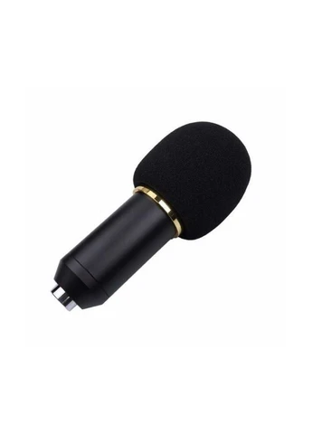 Микрофон студийный конденсаторный BM-800 [75297] ZEEPIN (400991164)