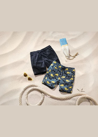 Набор шортиков для мальчика Lupilu (290679827)