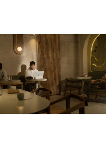 Ноутбук OmniBook 7 14-fs0002ru 14" WUXGA IPS AG, Intel 5-210H, 16GB, F512GB, UMA, Win11P, серебристый HP (363832391)