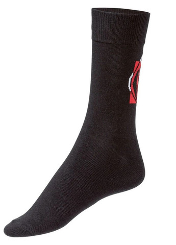 Комбинированные носки 2пары Lidl рисунки (315735792)