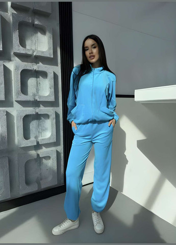 Велюровый костюм двойка брюки + кофта на змейке, женский брючный костюм на весну из велюра, 7193 No Brand (329890425)