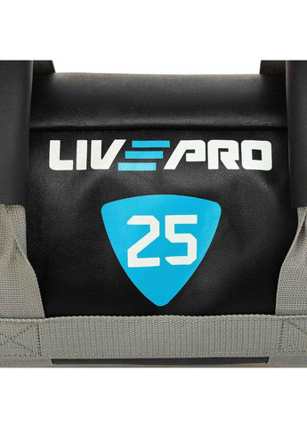 Мешок утяжелитель для функционального тренинга Power Bag LP8120-25 25кг (PVC, вес 25кг, черный-серый) LiveUp (361440139)