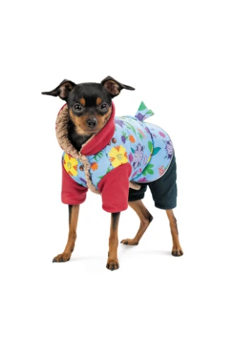 Костюм дівчинка Alisa S для собак 4823082437511 Pet Fashion (386783076)