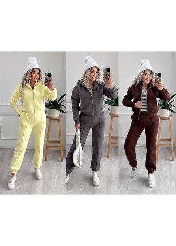 Костюм 006 дорога тринитка пенье Туреччина на флісі,штани та кофта на блискавці з капюшоном Україна (367930625)