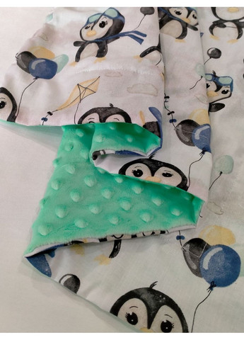 Дитячий плюшевий плед, плюш пупирка з польською бавовною, розмір 75*90 No Brand (371774418)