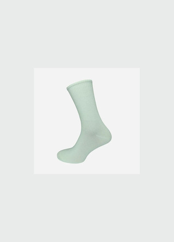 Набір шкарпеток жіночих високих бавовняних Лана Теніс colorful 10 пар Асорті No Brand (285793083)