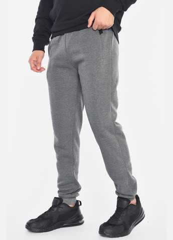 Спортивні штани чоловічі на флісі сірого кольору Let's Shop (305296641)