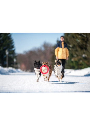 Кільце для апортування PitchDog діаметр 20 см (4823089302430) Collar (354702618)