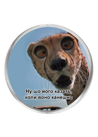 Акриловий значок з друком "Ну шо його казать, коли воно канешно" (28913) No Brand (351592795)