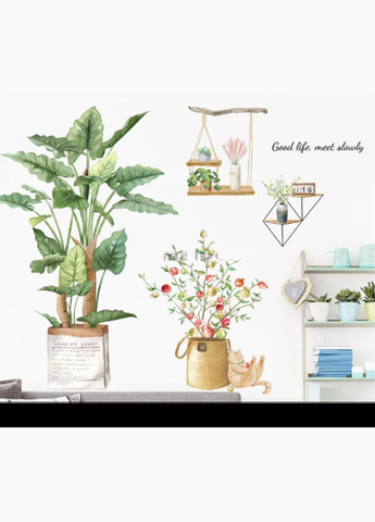 Вінілові наклейки в салон краси Фікус гранат котик — вазони ( лист 60 х 90 см ) Б67-3 No Brand (302242976)