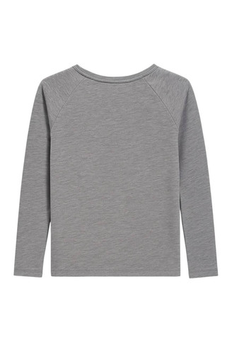 Кофта Серый Creeks (337231143)