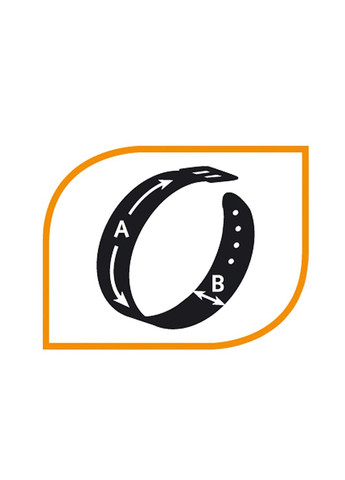 Ошейник для собак Daytona Fantasy C20/43 нейлоновый зеленый 2х35-43 см 75232201 Ferplast (269341610)