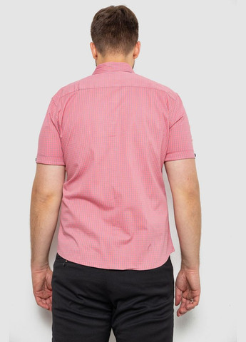 Пудровая рубашка Ager