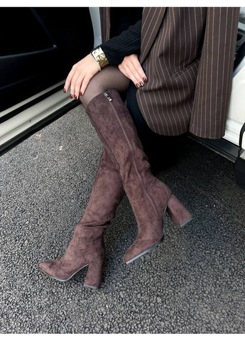 Стильні жіночі чоботи No Brand (366080023)