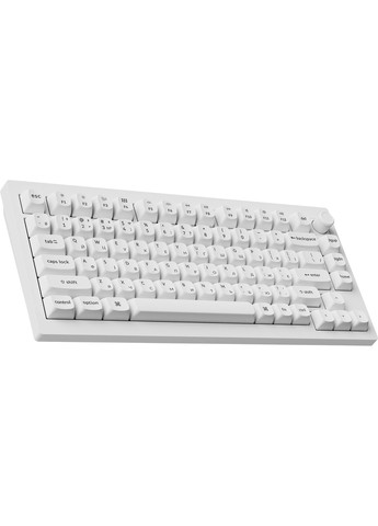 Клавиатура беспроводная V1 Ultra Red Switch White RGB (V1U-F1-UA) Keychron (394714670)