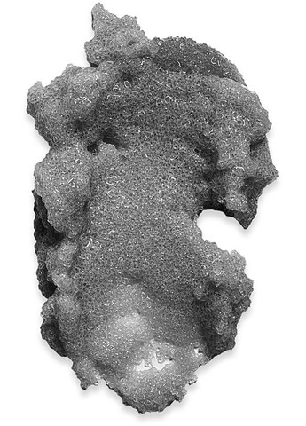 Парфюмерный скраб для тела с маслом оливки, сорбитолом и экстрактом липы Tobacco & Vanilla 350g (1352168-11805780) dott (368626404)