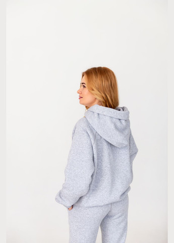 Сіре тепле зимове жіноче худі оверсайз з написом з малюнком з капюшоном з довгими рукавами No Brand (314838719)