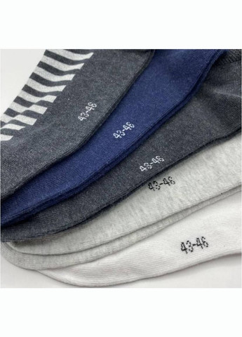 Сірі набір чоловічих шкарпеток 5 пар Livergy однотонні (343051516)