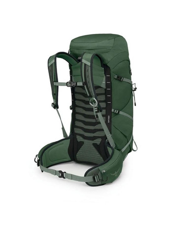 Рюкзак Talon 33 Зеленый Osprey (338182910)
