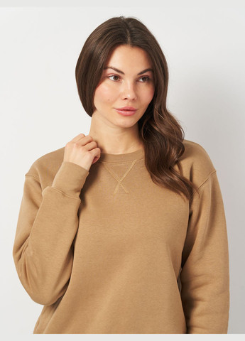 Темно-бежевый свитшот женский утепленный Роза однотонный (312021814)