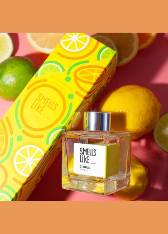 Аромадифузор для дома Smells Like Citrus, 100 мл ESSE SL-Ct (328448971)
