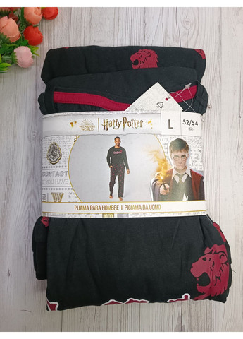 Чоловіча піжама Livergy (354232358)