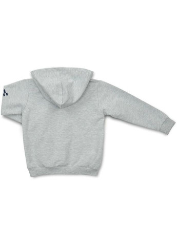 Спортивный костюм с медвежонком (18105-116B-gray) Breeze (300856885)