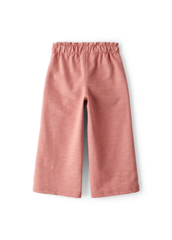 Штани для дівчинки 88-93 см (2T496010_2T) Carter's (368239792)