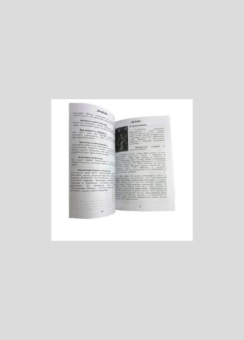 Книга - Оракул Повного Місяця No Brand (330827386)