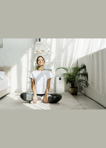 Очисник повітря AF 50, 50м2, 520м3/год, дисплей, 2 HEPA фільтри, 4 режими, інд. забр-ння, KARCHER (315143858)