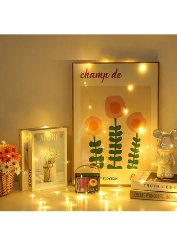 Гирлянда Роса 60 м медный зеленый провод USB, Пульт, 600 LED, теплый белый (желтый) No Brand (368150444)