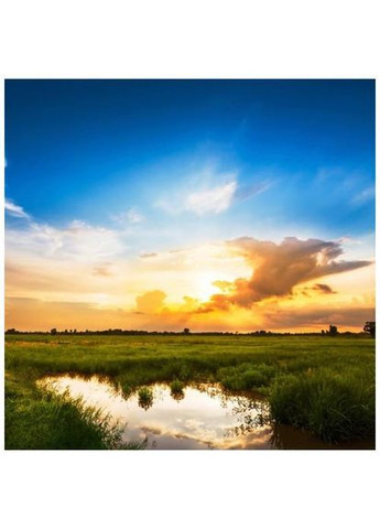 Відеокамера HC-X2 (HC-X2EE) Panasonic (330120700)