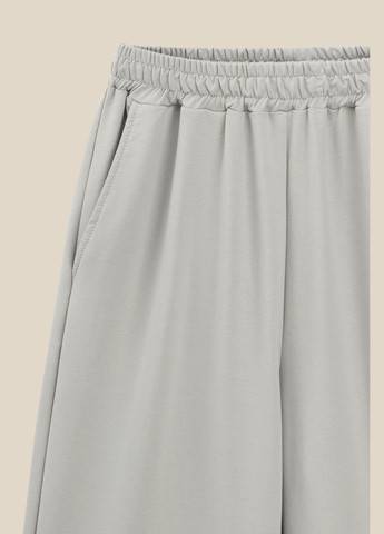 Светло-серые спортивные демисезонные брюки LAWA