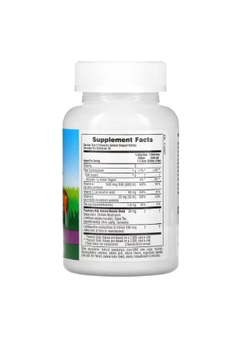 Kids Immune Booster Chewable - 90 tabs Nature's Plus (392264581)