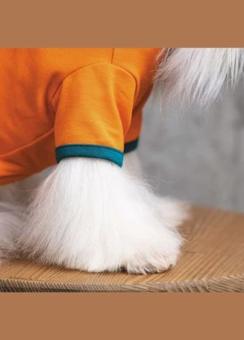 Футболка «Art» для собак, розмір, помаранчева (*) Pet Fashion (323153793)