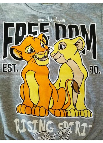 Сірий демісезонний дитячий батнік free dom Kids Klub