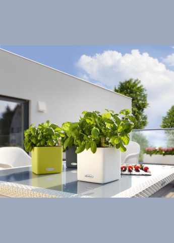 Вазон Cube Color 14, білий (A-013552) Lechuza (317268837)