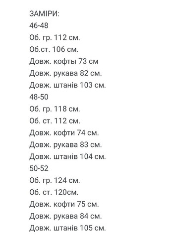 Мужской флисовый спортивный костюм FINO Mode (362257272)