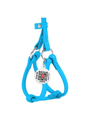 Шлея з повідцем для собак шкіряна Glamour з QR паспортом, кругла, Д 6 мм, А 26-46 см, В 30-50 см блакитний WAUDOG (326836176)