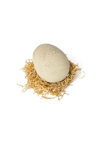 Primal Hatch: Інтерактивний тиранозавр Рекс в яйці No Brand (360767956)