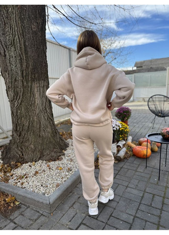 Костюм женский байковый джогеры и худые с капюшоном 25.2745 44( ) AKSAN (366820449)