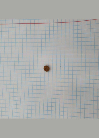 Сухий корм для цуценят малих порід курка Science Plan Puppy Small & Miniature Chicken 6 кг 605527 HILLS (266274209)