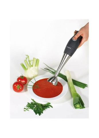 Блендер (SMS349СВ) Bomann SMS 349 СВ (352230620)