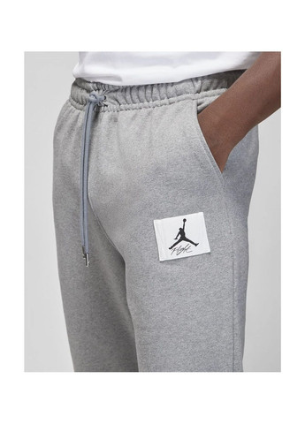 Серые демисезонные брюки Air Jordan