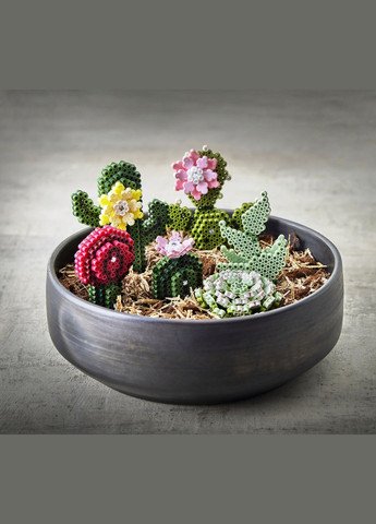 Термомозаїка Великий набір Мистецтво Сукуленти (HM-3622) Hama (315333842)