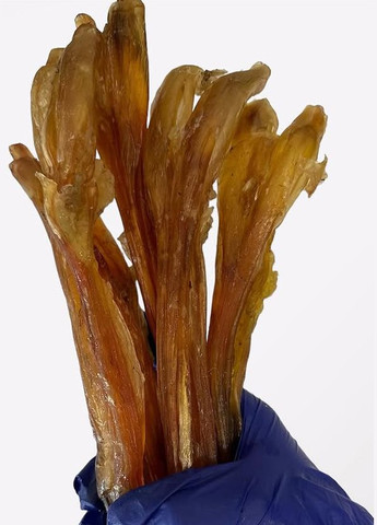 Натуральное лакомство для собак жила путовая молодого теленка "" (Бетховен) Bethowen (327092839)