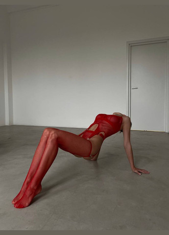 Жіночий сексуальний бодістокінг червоного кольору в сіточку No Brand (322245844)