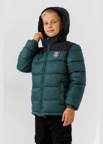 Зелена зимня куртка для хлопчика 3130-2 158 см shop (2000990605832) Remain
